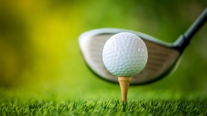 This form of online Golf betting is popular with bettors